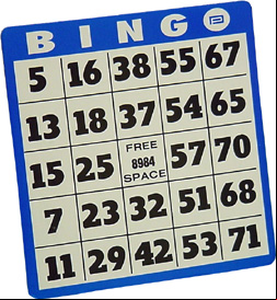 10 Pack Jumbo Number Professional Hard Card 